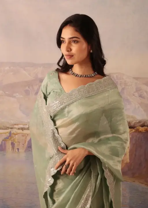 Rama Export RE -601 Soft Jimi chu Silk Wholesale Fancy Saree Collection