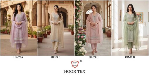 Hoor Tex OR-79 A To D Heavy Organza Wholesale Pakistani Suit Collection - Image 6