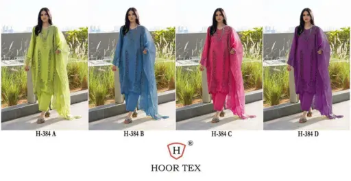 Hoor Tex H-384 A To D Heavy Cotton Wholesale Pakistani Readymade Suit Collection - Image 9