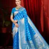 Saroj Virangana Silk Vol 2