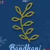 Nr Exclusive Bandhani Vol 6