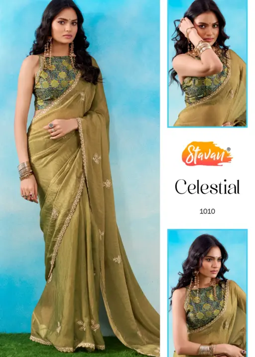 Stavan Celestial Fancy Embroidery Saree Collection