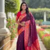 Vt 6082 T Soft Pethani Silk Zari Weaved Premium Saree Collection