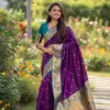 Vt 6082 T Soft Pethani Silk Zari Weaved Premium Saree Collection