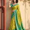 Ast Navya Silk Vol 1 Soft Silk Pochampally Festival Wear Saree Collection