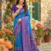Ast Navya Silk Vol 2 Soft Silk Pochampally Festive Wear Saree Collection