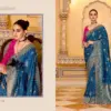 Kimora Rajmahal Banarasi Silk Border Work Festival Wear Saree Collection