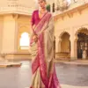 Kreshva Mantra Patola Vol 1 Silk Patola Sambalpuri Pallu Saree Collection