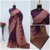 Mb 46 Pashmina Silk Woven Motifs Saree Collection