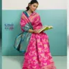 Sethnic Aavira Banarasi Silk with Zari Work Festival Wear Saree Collection