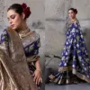 Sethnic Nakshi Banarasi Silk Sequence Work Saree Collection