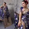 Sethnic Nakshi Banarasi Silk Sequence Work Saree Collection
